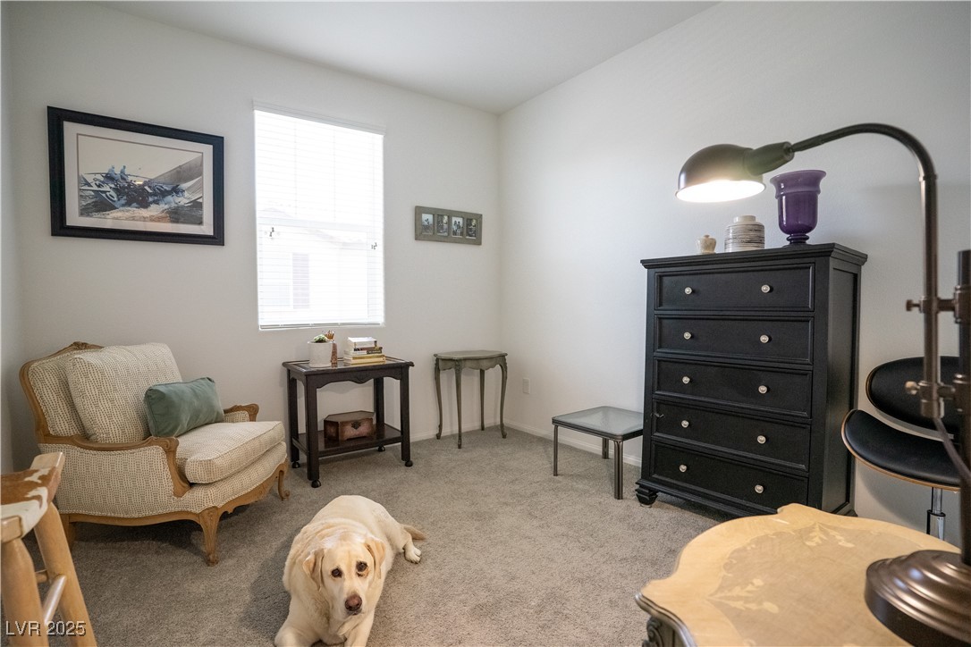 662 Foam Flower Lane Henderson, NV 89015 - Photo 13 of 14 3rd Bedroom used as sitting area featuring carpet