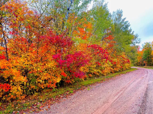 $40,000 | Lot 12 Beaver Drive, Brainerd, MN 56401