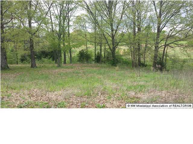 1320 Cypress Corner Road Senatobia, MS 38668 - Photo 14 of 16 Additional Photo