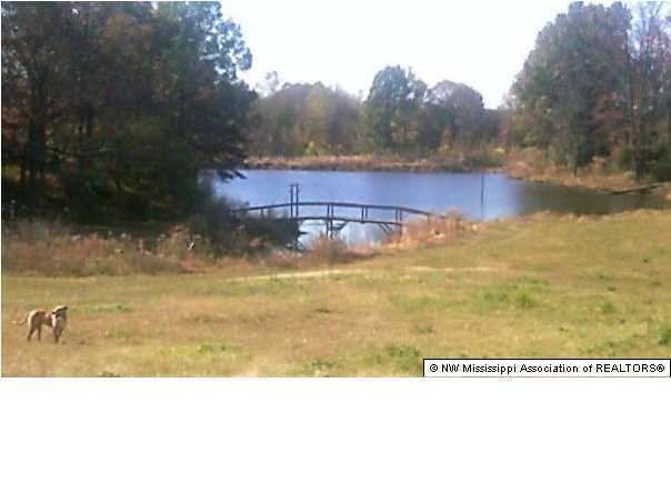 1320 Cypress Corner Road Senatobia, MS 38668 - Photo 15 of 16 Additional Photo
