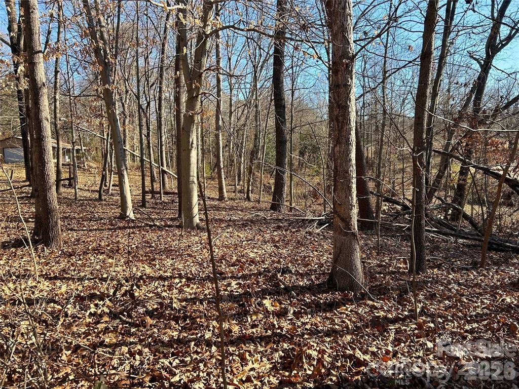 0 Walker Branch Road Lincolnton, NC 28092 - Photo 3 of 4 a backyard of a house with lots of green space