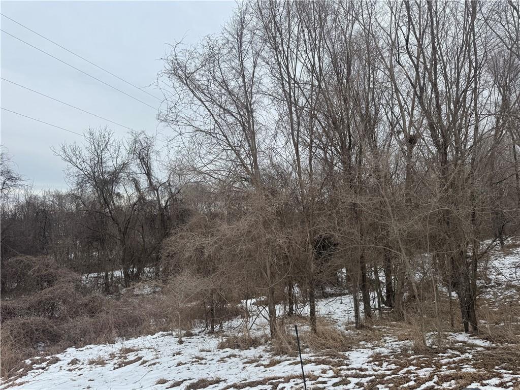 Tbd1 Harr-Grove Road Peculiar, MO 64078 - Photo 2 of 2