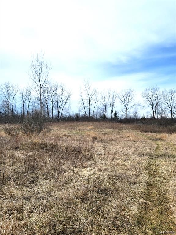 2790 Koylette Road Marlette, MI 48453 - Photo 12 of 15