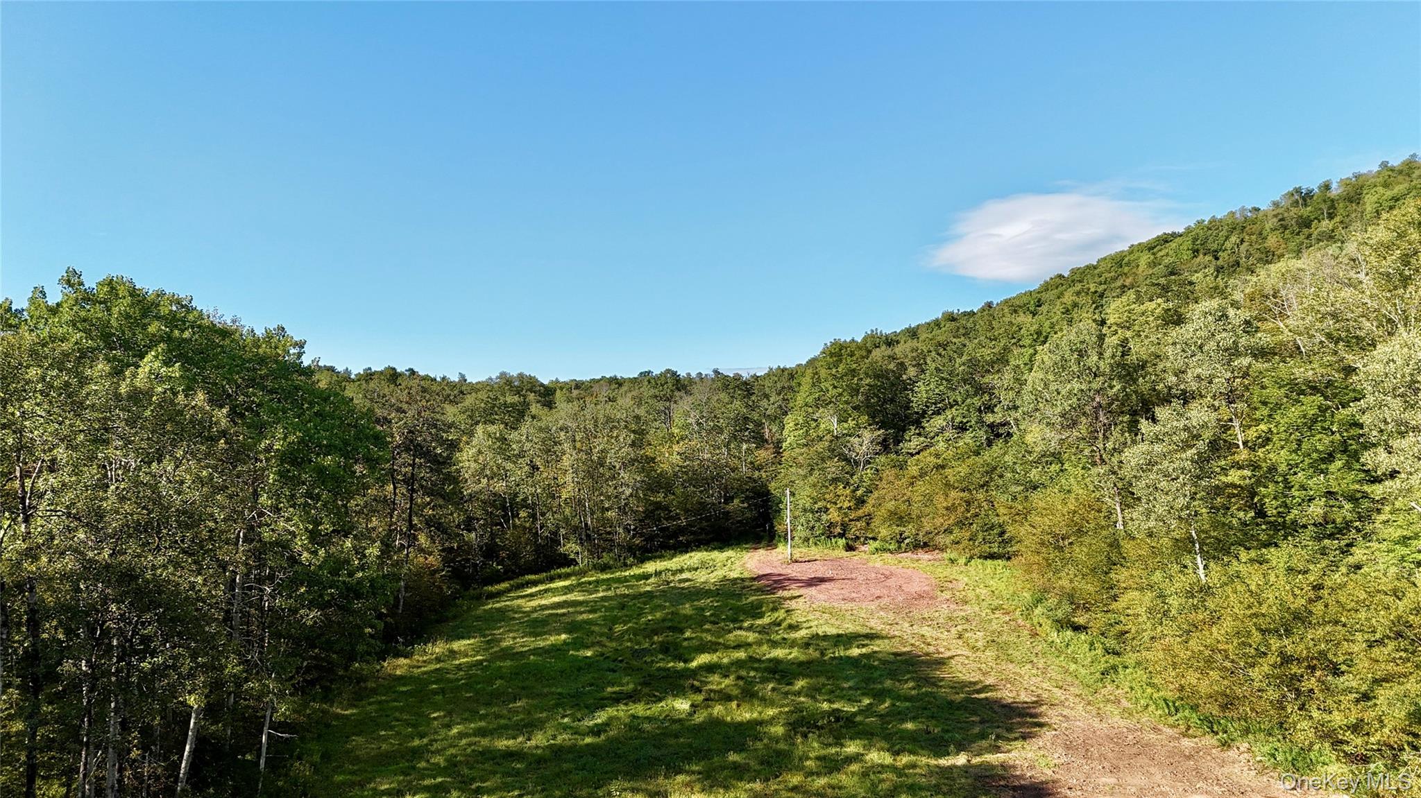 216 Neer Road Long Eddy, NY 12760 - Photo 41 of 48