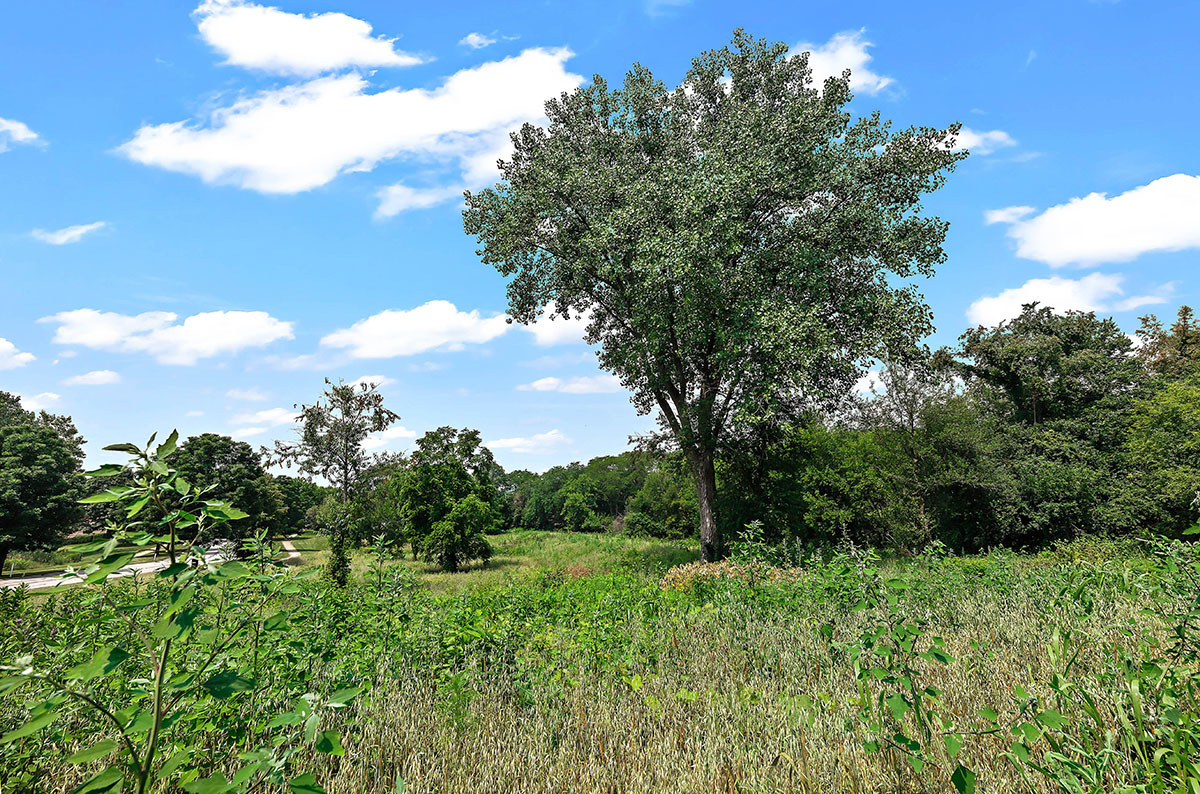 703 Rock Spring Road Naperville, IL 60565 - Photo 39 of 46