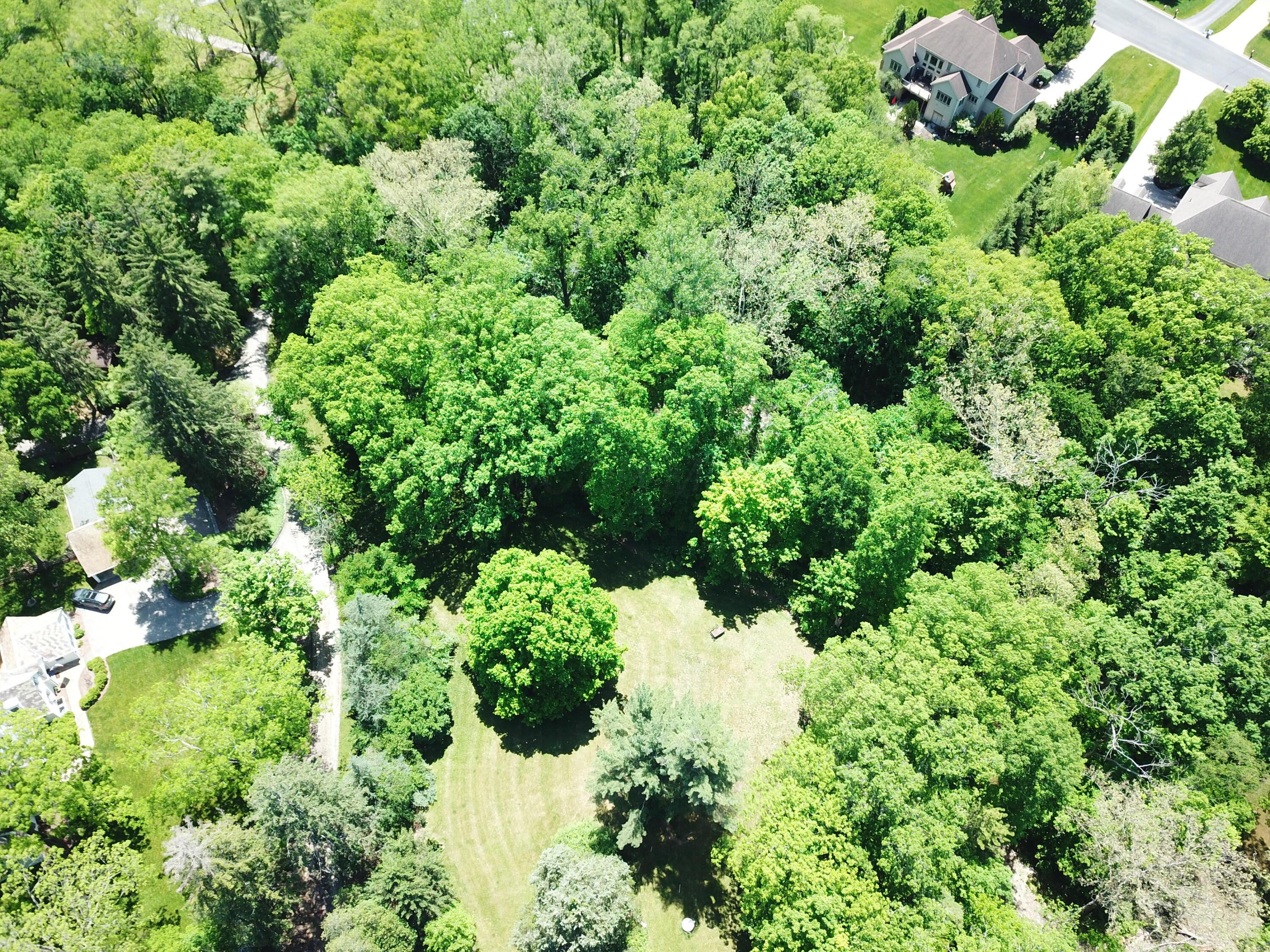 1428 Jewett Road Powell, OH 43065 - Photo 3 of 12 DJI_0255