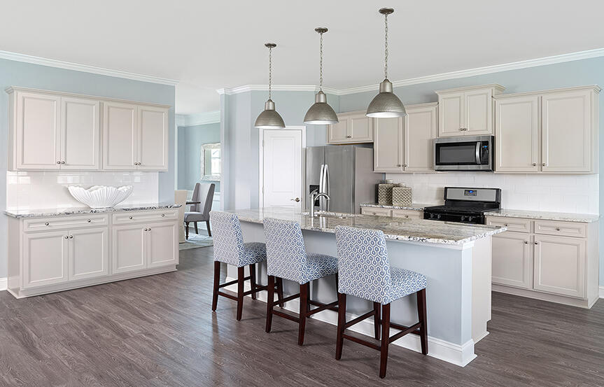2221 Cooper Farm Road Johns Island, SC 29455 - Photo 2 of 18 Kitchen