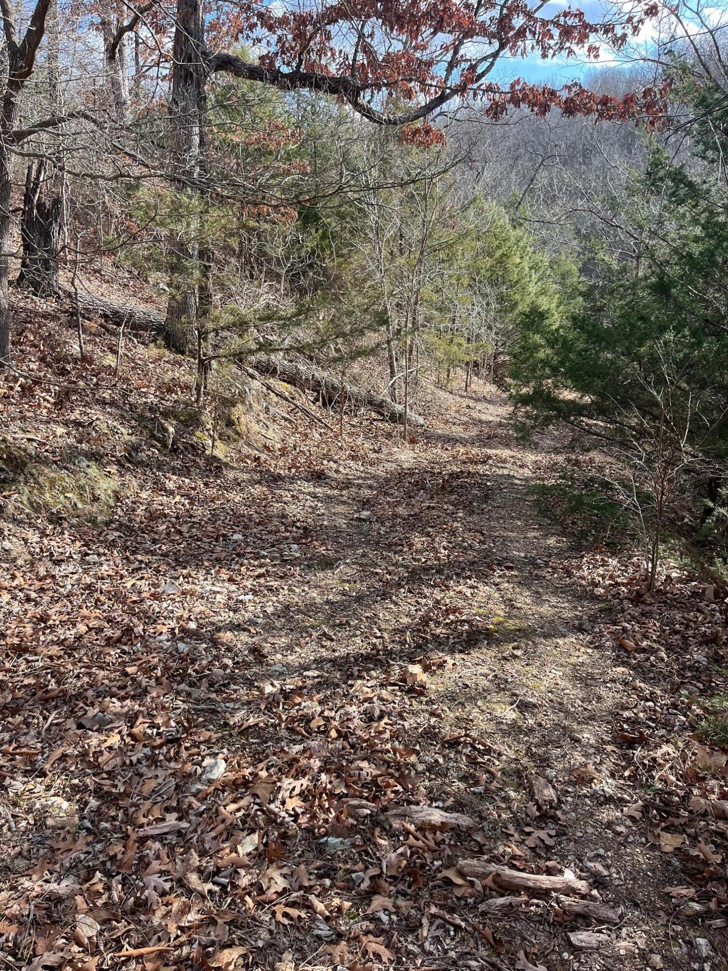 615 Thomas Hollow Road Exeter, MO 65647 - Photo 36 of 82 lane up to north