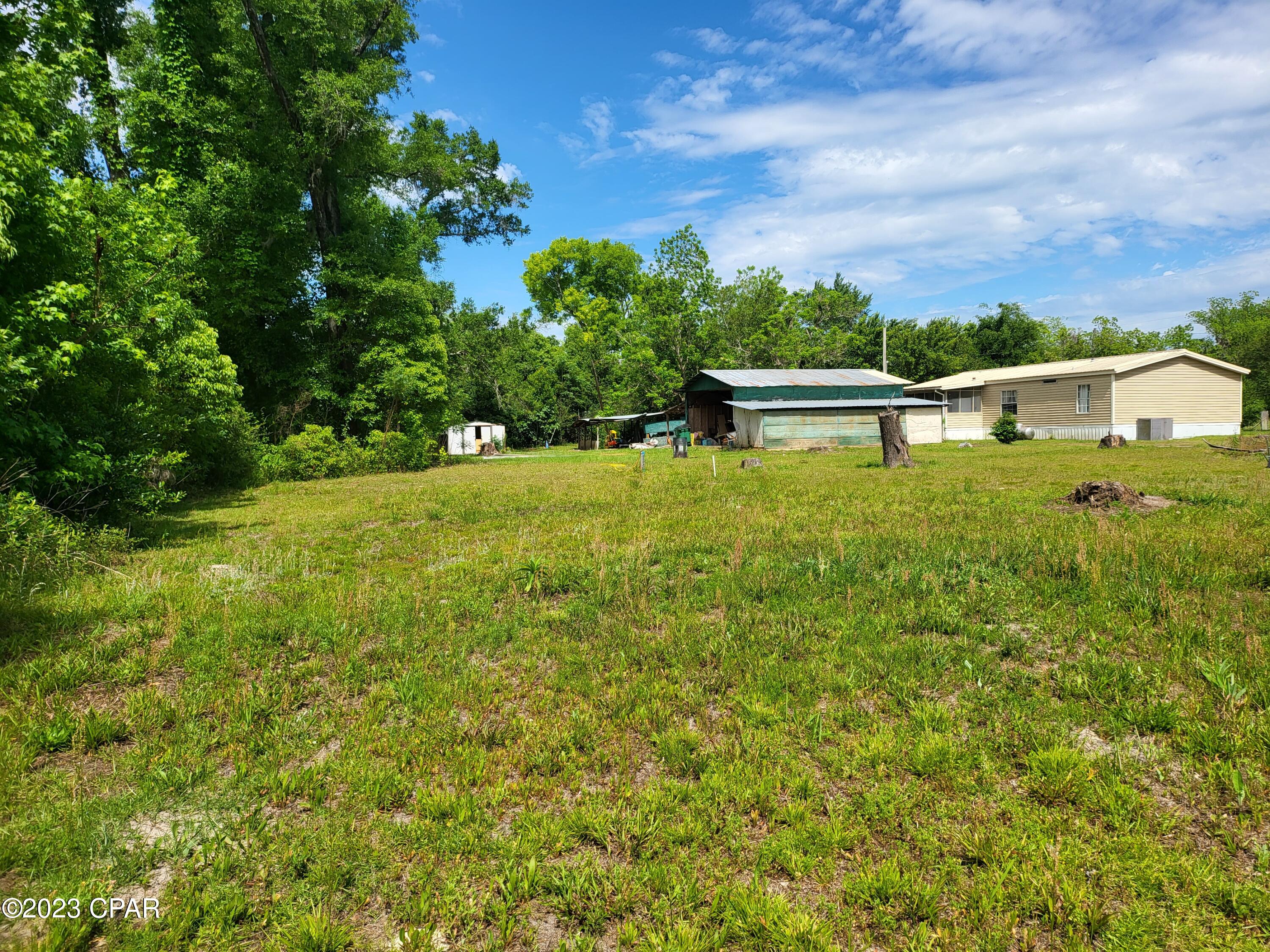 12289 Rock Bluff Road Bristol, FL 32321 - Photo 4 of 20 Gallery Image 4