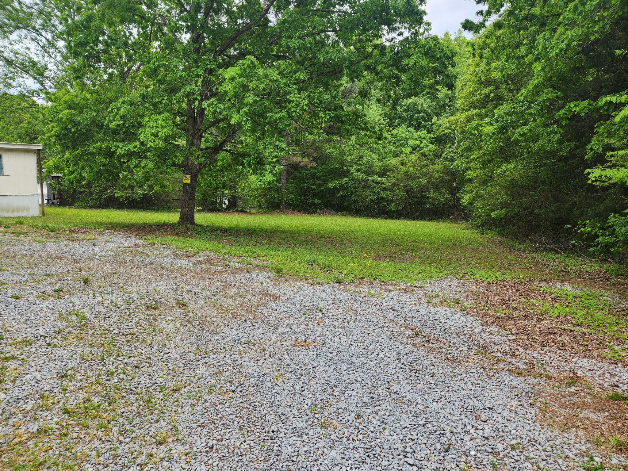0 Walter Rice Road Lyles, TN 37098 - Photo 5 of 16 Gallery Image 5
