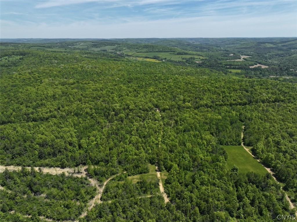 River Road Belmont, NY 14813 - Photo 3 of 23