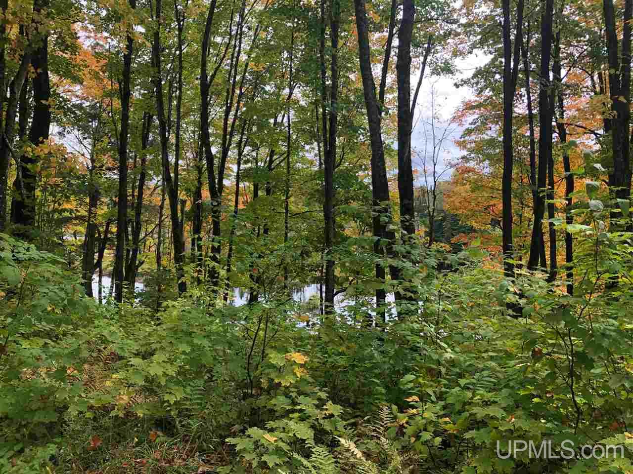 5.9-ac Off Chaney Coves Road, Unit 5 Bessemer, MI 49911 - Photo 3 of 12
