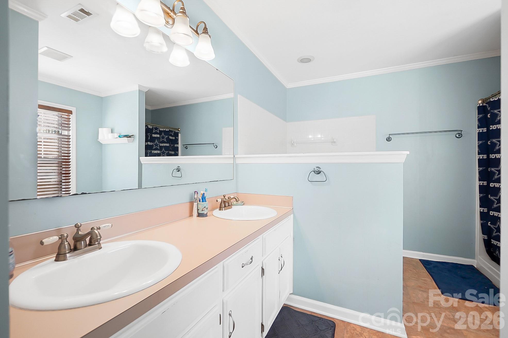 6906 Streamside Drive Charlotte, NC 28212 - Photo 21 of 48 a bathroom with a sink a vanity and a mirror
