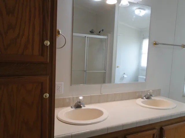 a view of a backyard with large trees