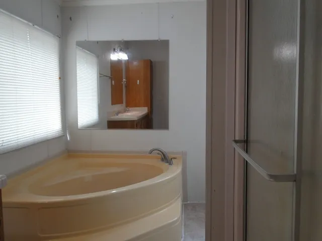 a view of a forest with trees in the background