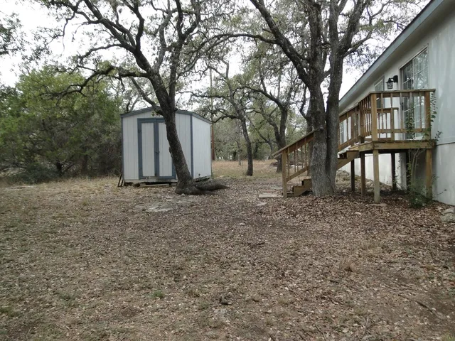 a view of a forest filled with trees