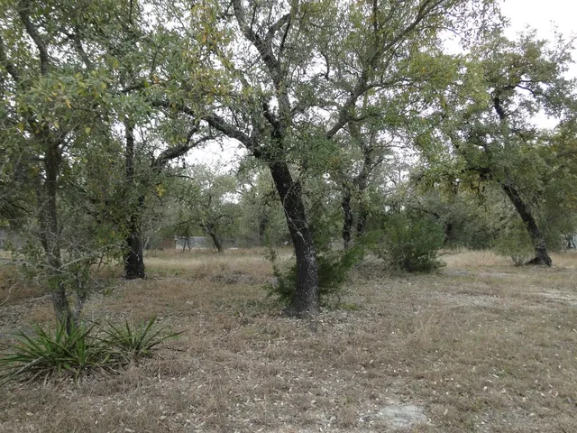 a view of outdoor space with city view