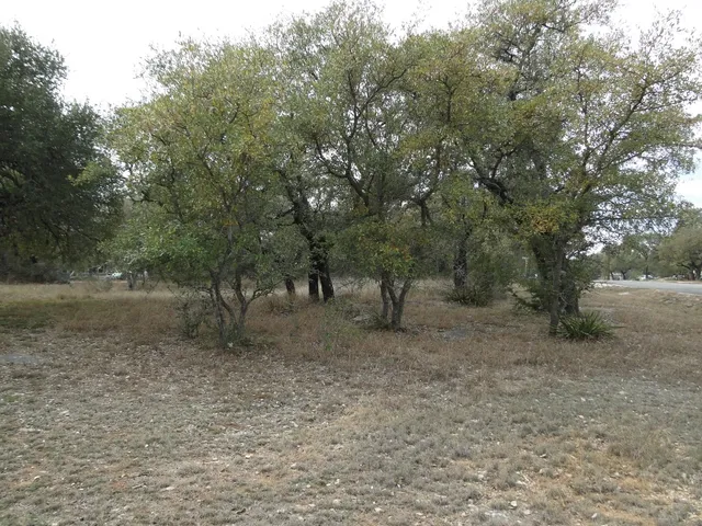 $215,000 | 107 West Dawn Drive, Johnson City, TX 78636