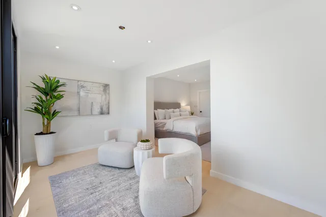 a living room with furniture and a potted plant