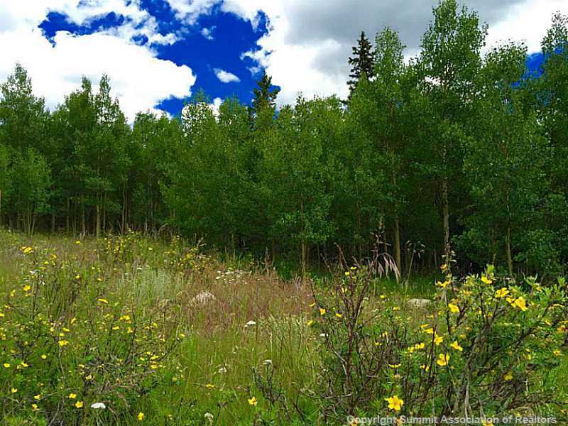 238 Quartzville Road Alma, CO 80420 - Photo 3 of 6 Land/Lot.
