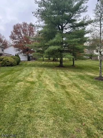 a view of a yard with a tree