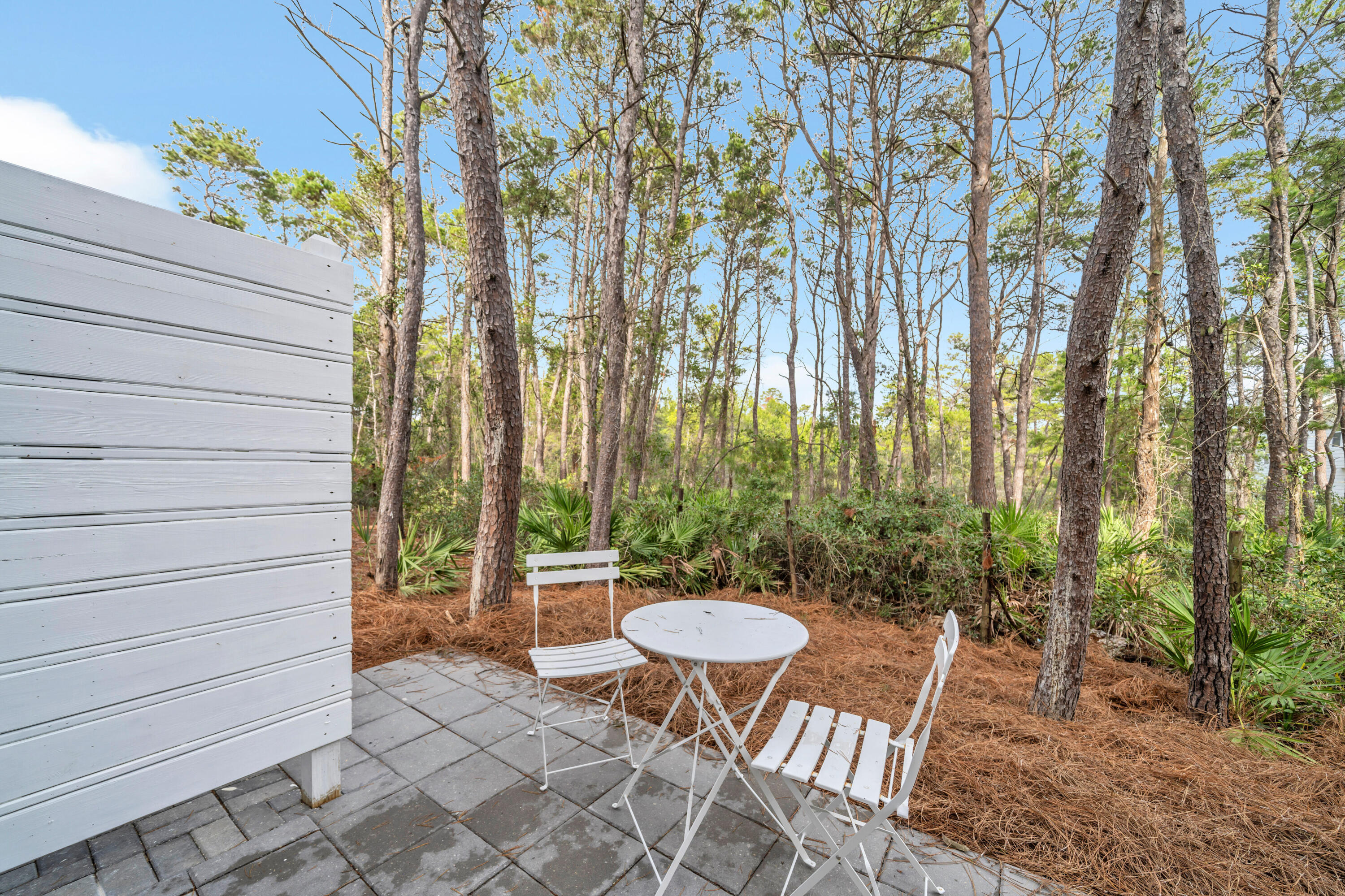 178 Valdare Ln Inlet Beach Inlet Beach, FL 32461 - Photo 21 of 83 018-022-DSC01714-4050x2700