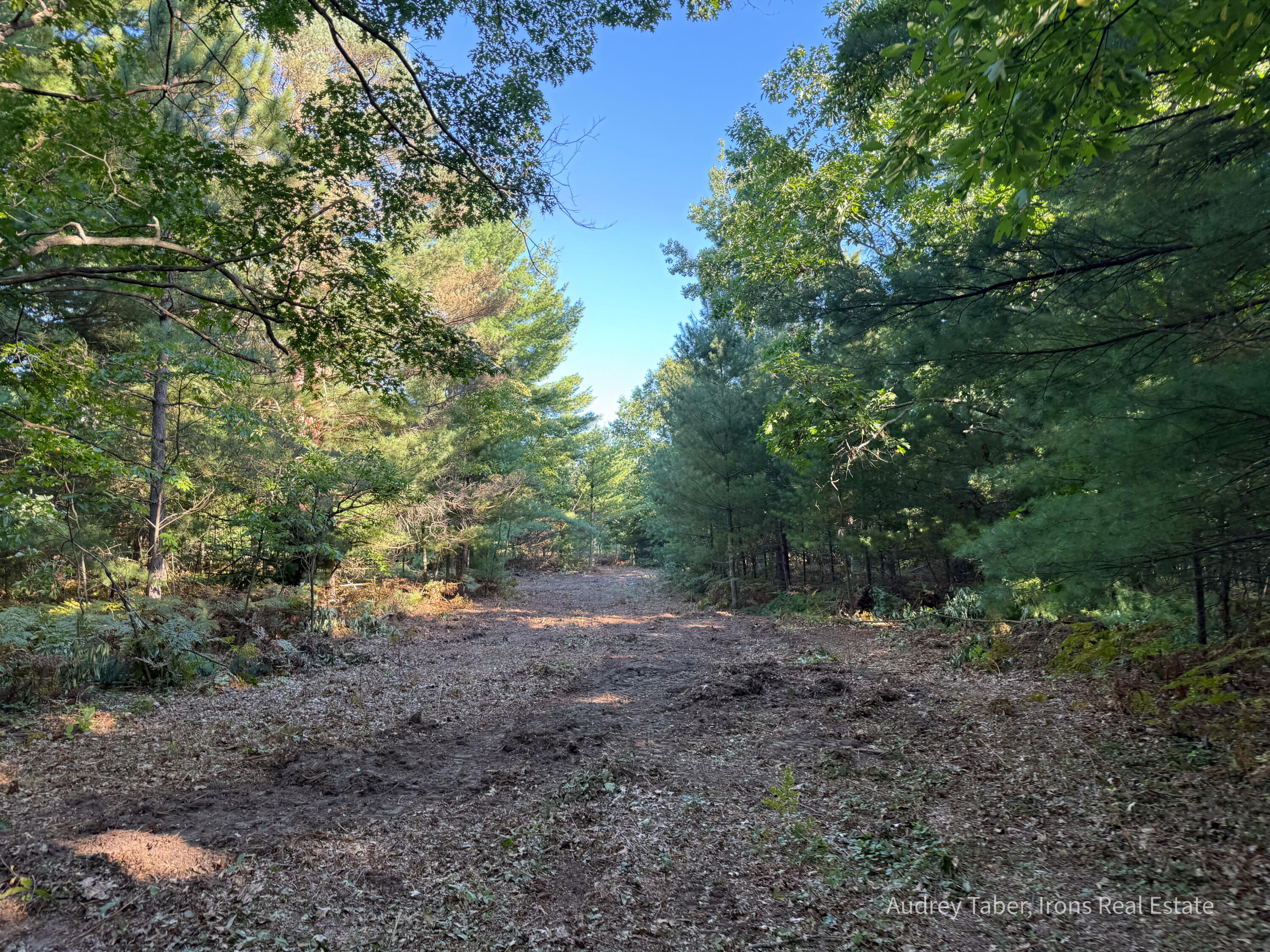 1-5 Clements Road Kaleva, MI 49645 - Photo 3 of 61 ClementsRd-07