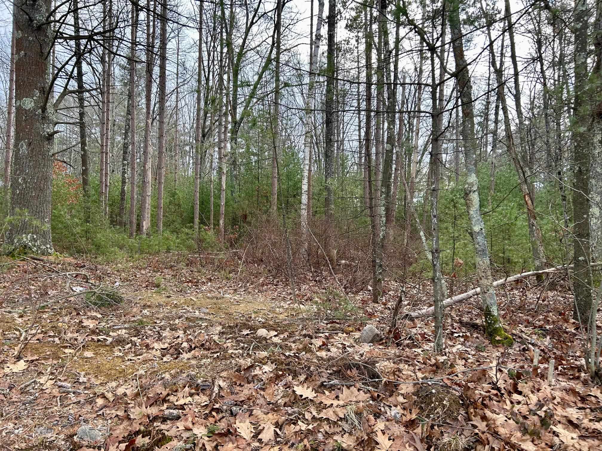 347 Old Dover Road, Unit 67 Rochester, NH 03867 - Photo 2 of 7