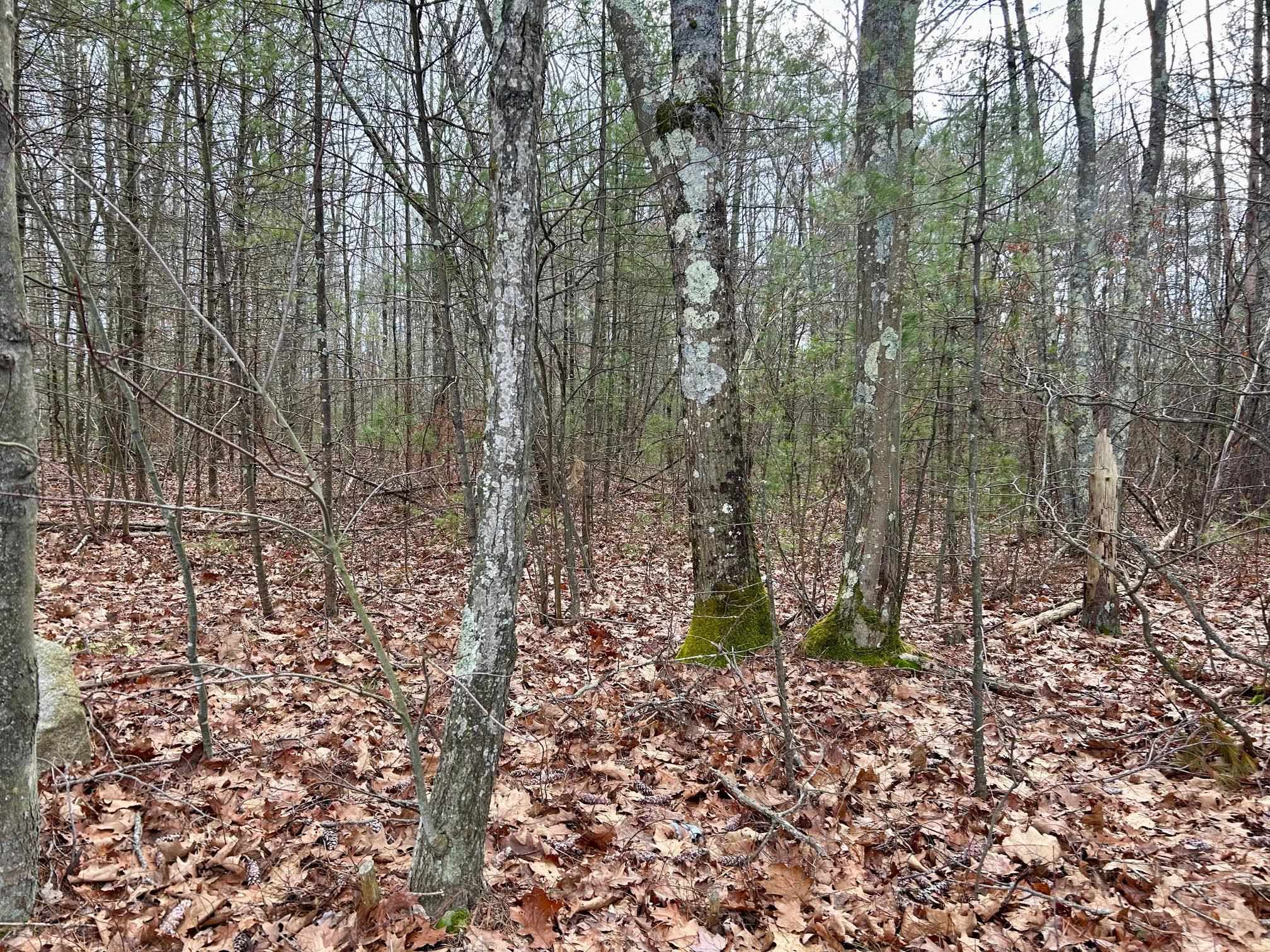 347 Old Dover Road, Unit 67 Rochester, NH 03867 - Photo 5 of 7