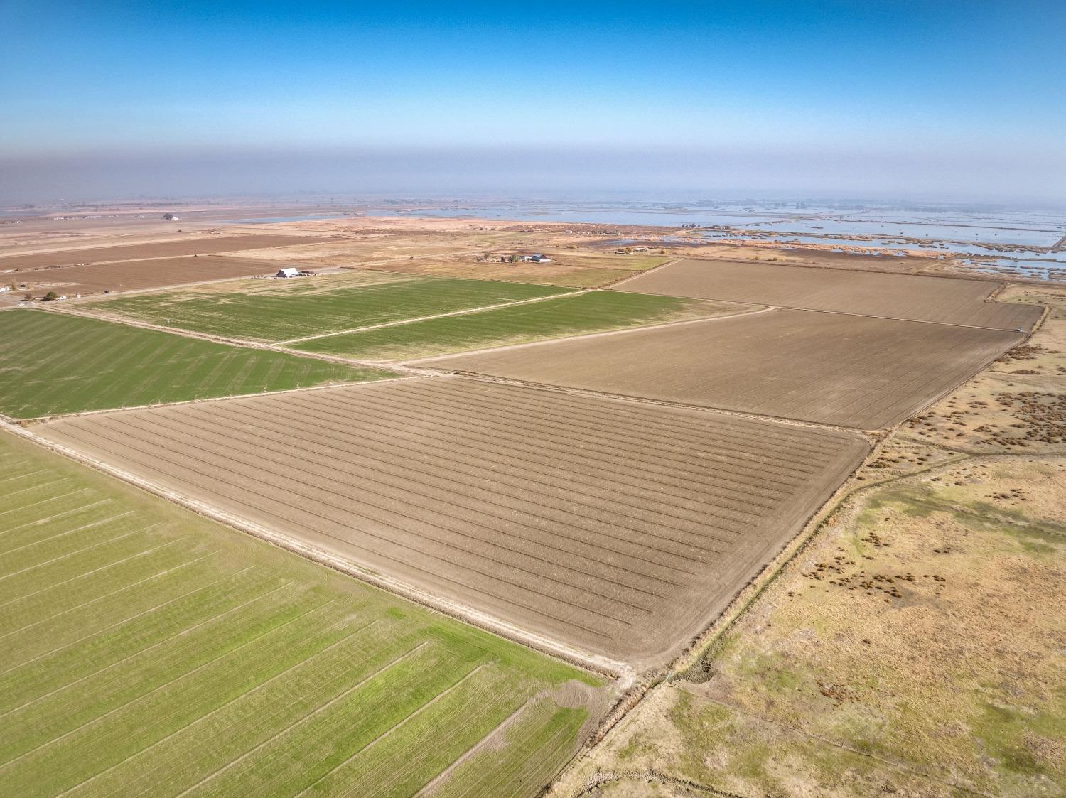 17131 Cotton Road Los Banos, CA 93635 - Photo 12 of 13