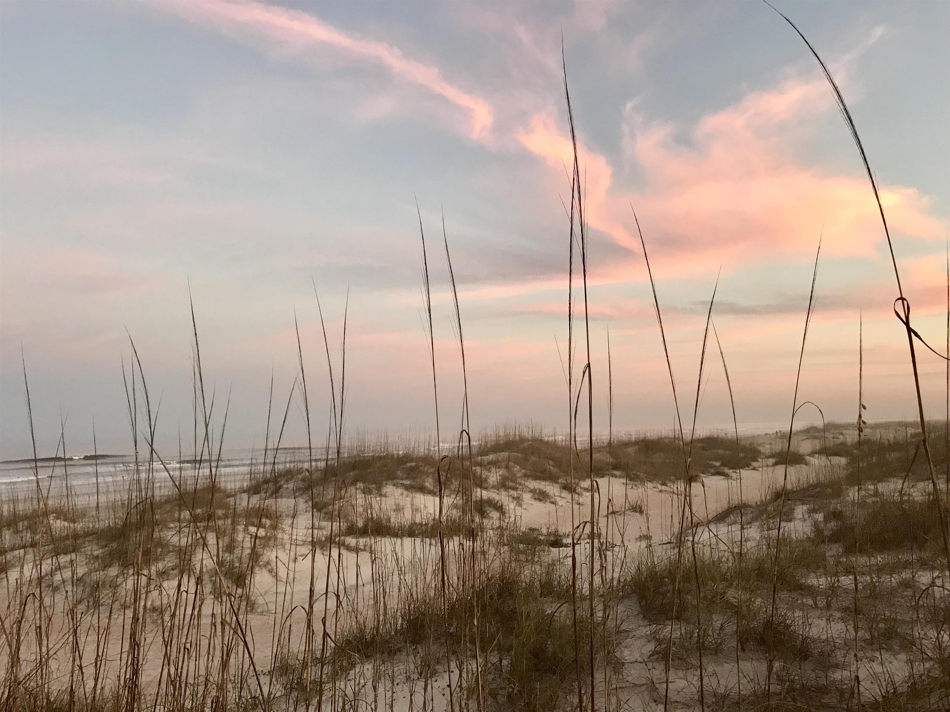 221 Barco Road St. Augustine, FL 32080 - Photo 36 of 38