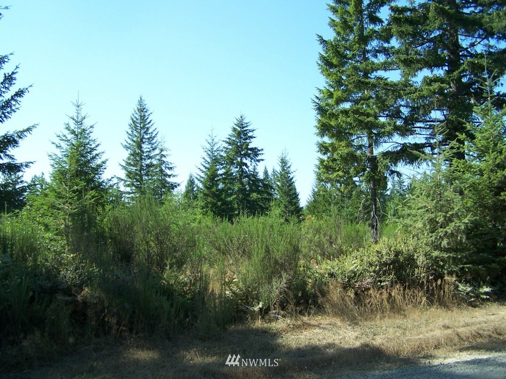 3 Shetland Road Shelton, WA 98584 - Photo 1 of 3 Gallery Image 1
