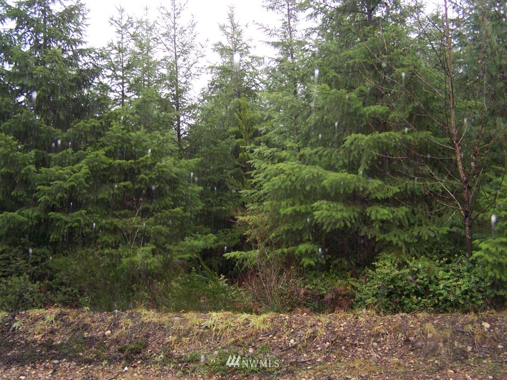 3 Shetland Road Shelton, WA 98584 - Photo 2 of 3 Gallery Image 2