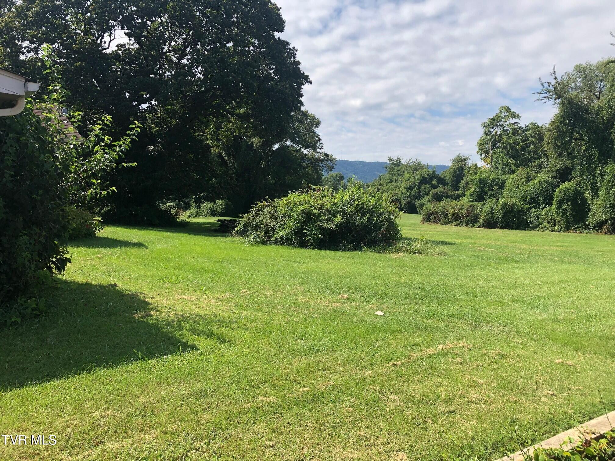 724 Plantation Road Kingsport, TN 37660 - Photo 7 of 11 View1