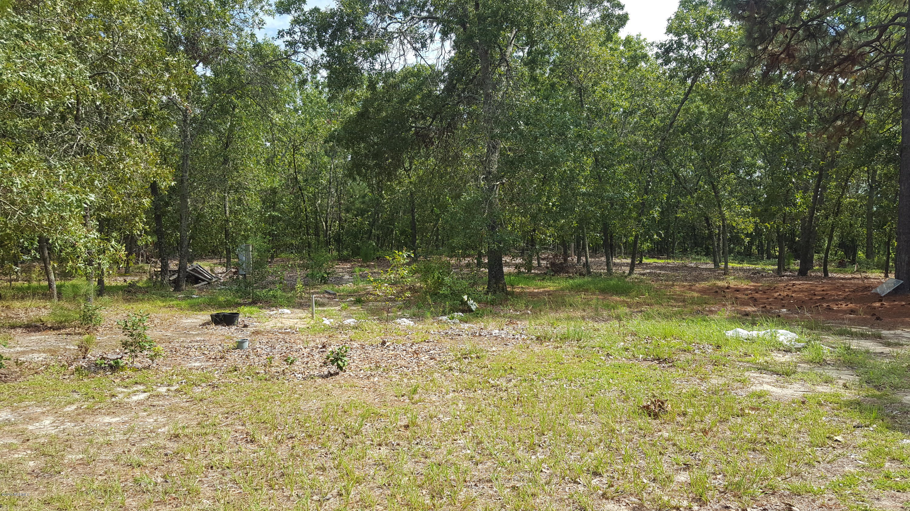 17587 Corbitt Road Laurel Hill, NC 28351 - Photo 14 of 16 Corbitt Rd 2