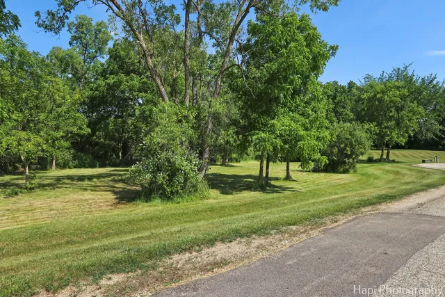 a view of a park