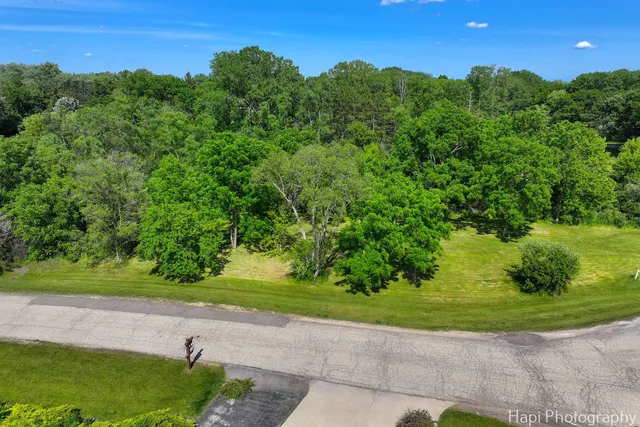 a view of a big yard with potted plants and large trees