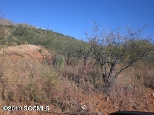 1495 Broncho Court Rio Rico, AZ 85648 - Photo 1 of 1 a view of a dry yard with mountains in the background