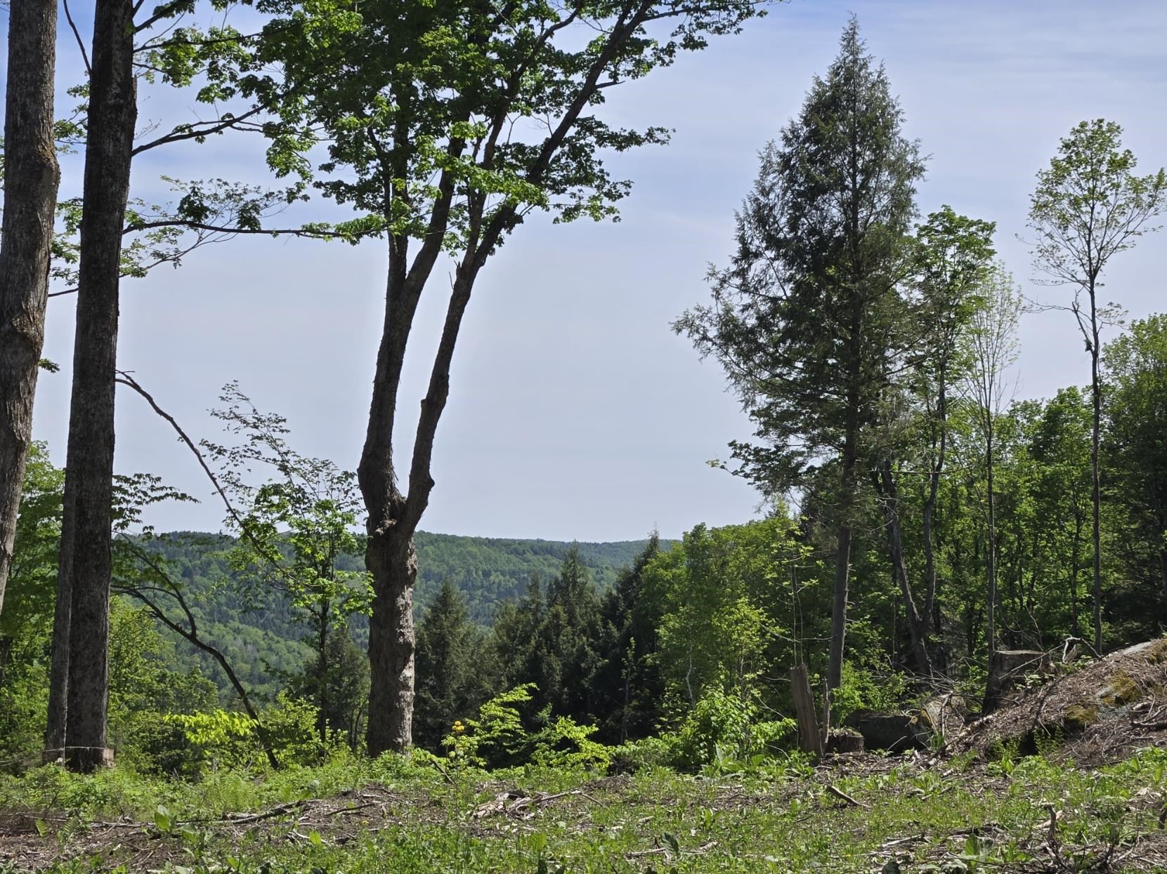0 Vt Route, Unit LOT 1 Bethel, VT 05032 - Photo 8 of 10