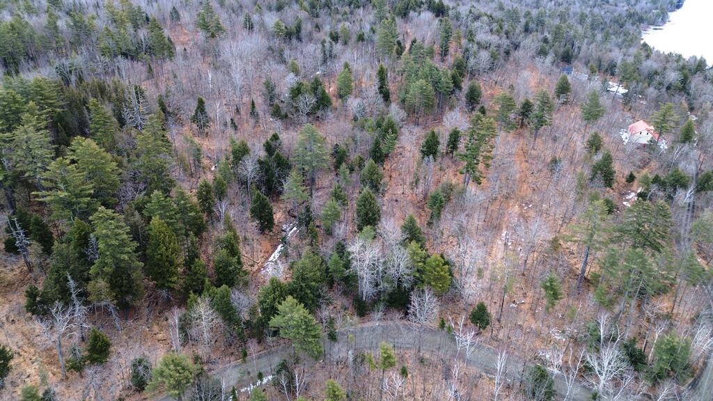 Lot 6 Peterson Road Dover-Foxcroft, ME 04426 - Photo 9 of 21 DJI_0019
