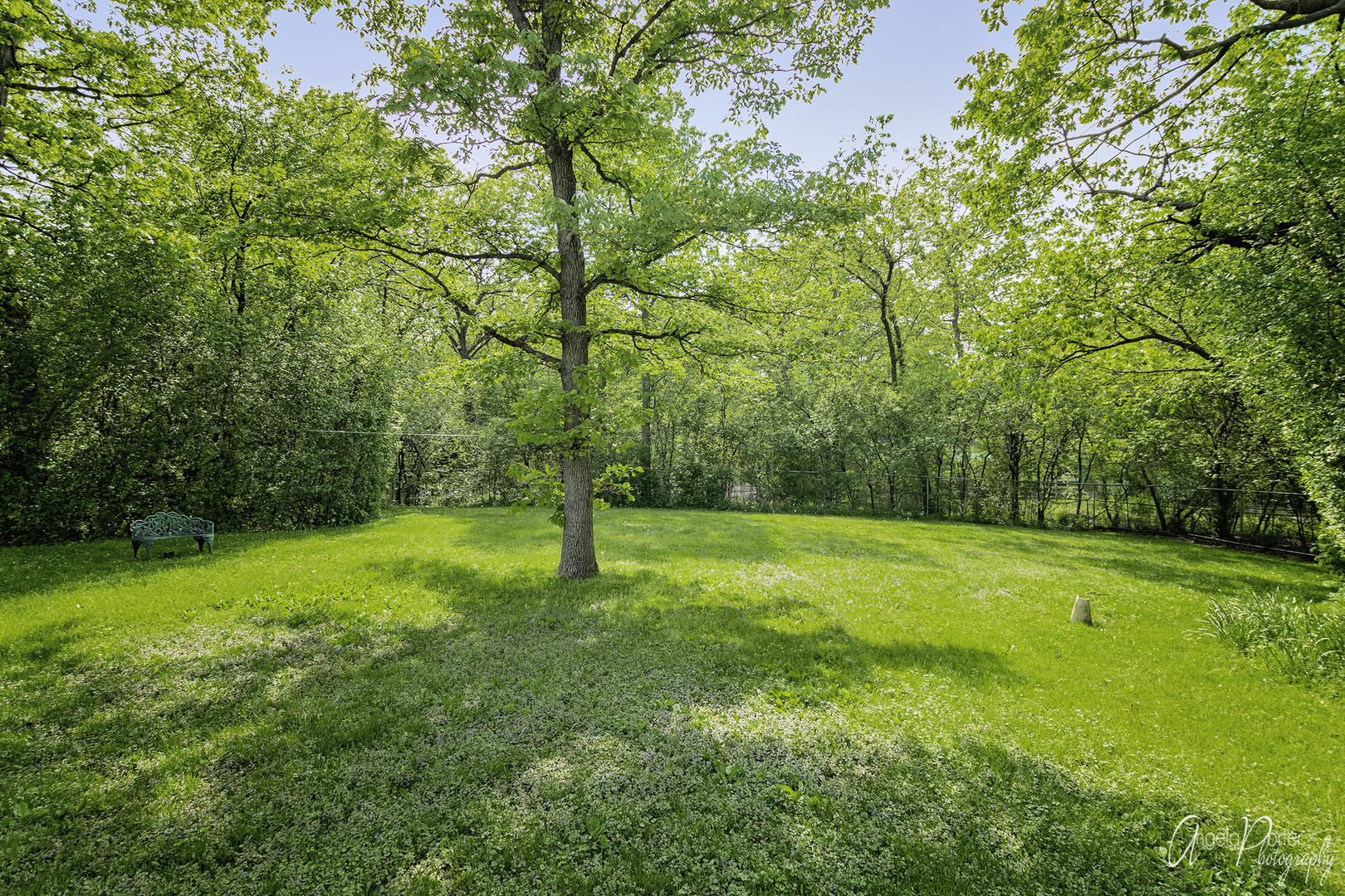 381 South St Marys Road Libertyville, IL 60048 - Photo 6 of 32