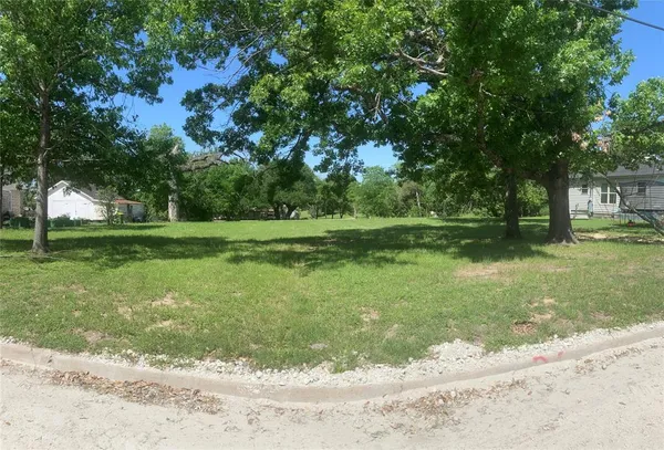 a view of a park with large trees