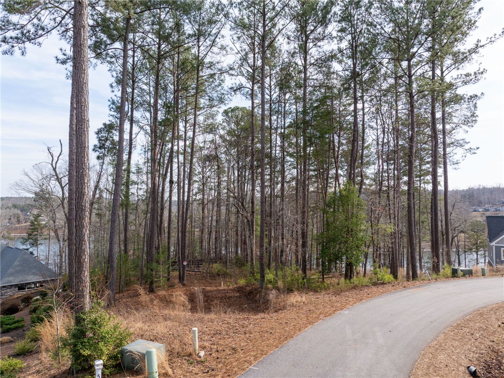 537 Peninsula Road West Union, SC 29696 - Photo 13 of 15 This spacious lot offers tranquil lake views, surrounded by mature trees.