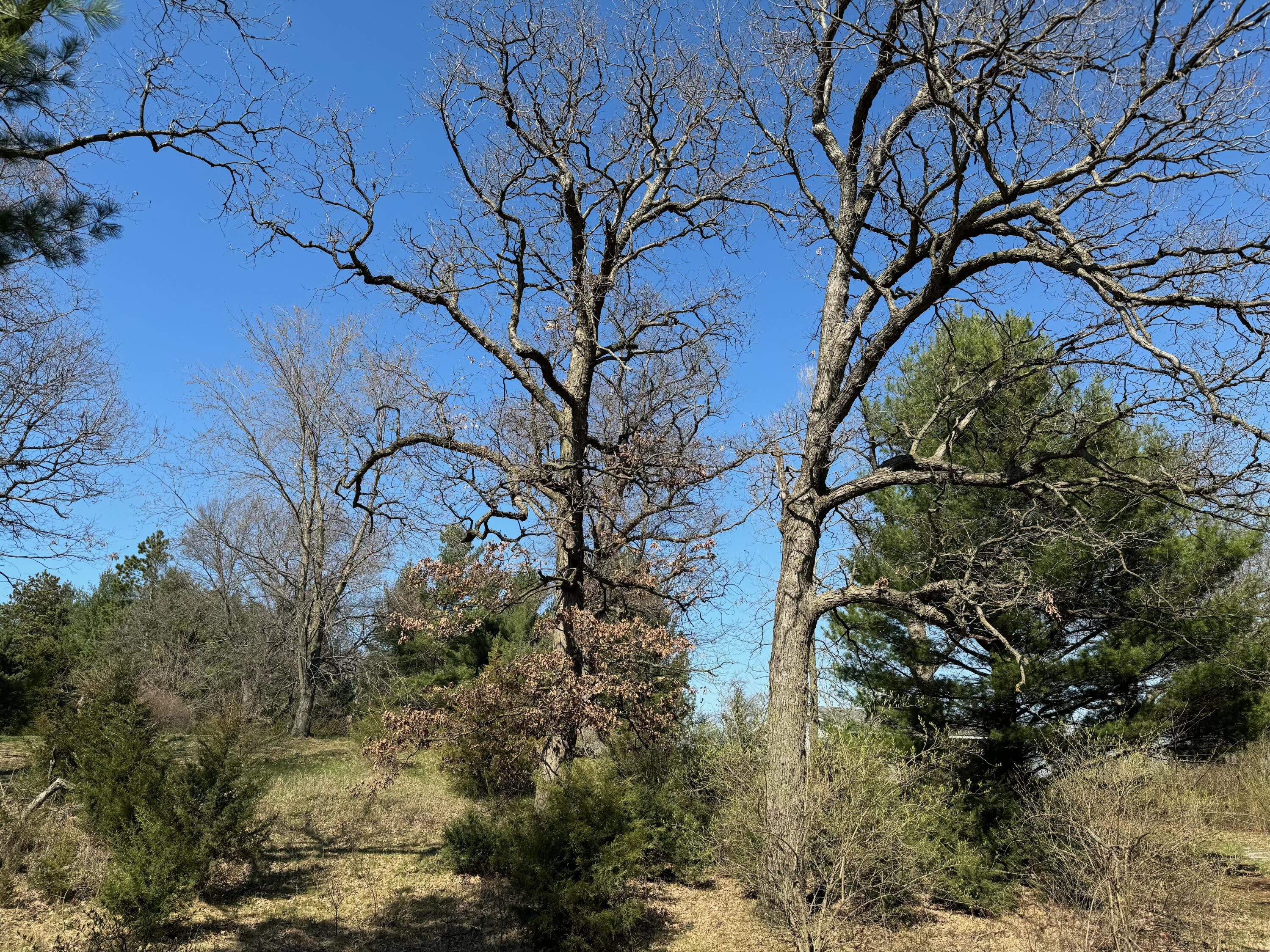 Lot 1 North 200th Street West Rensselaer, IN 47978 - Photo 6 of 11 3000x2250