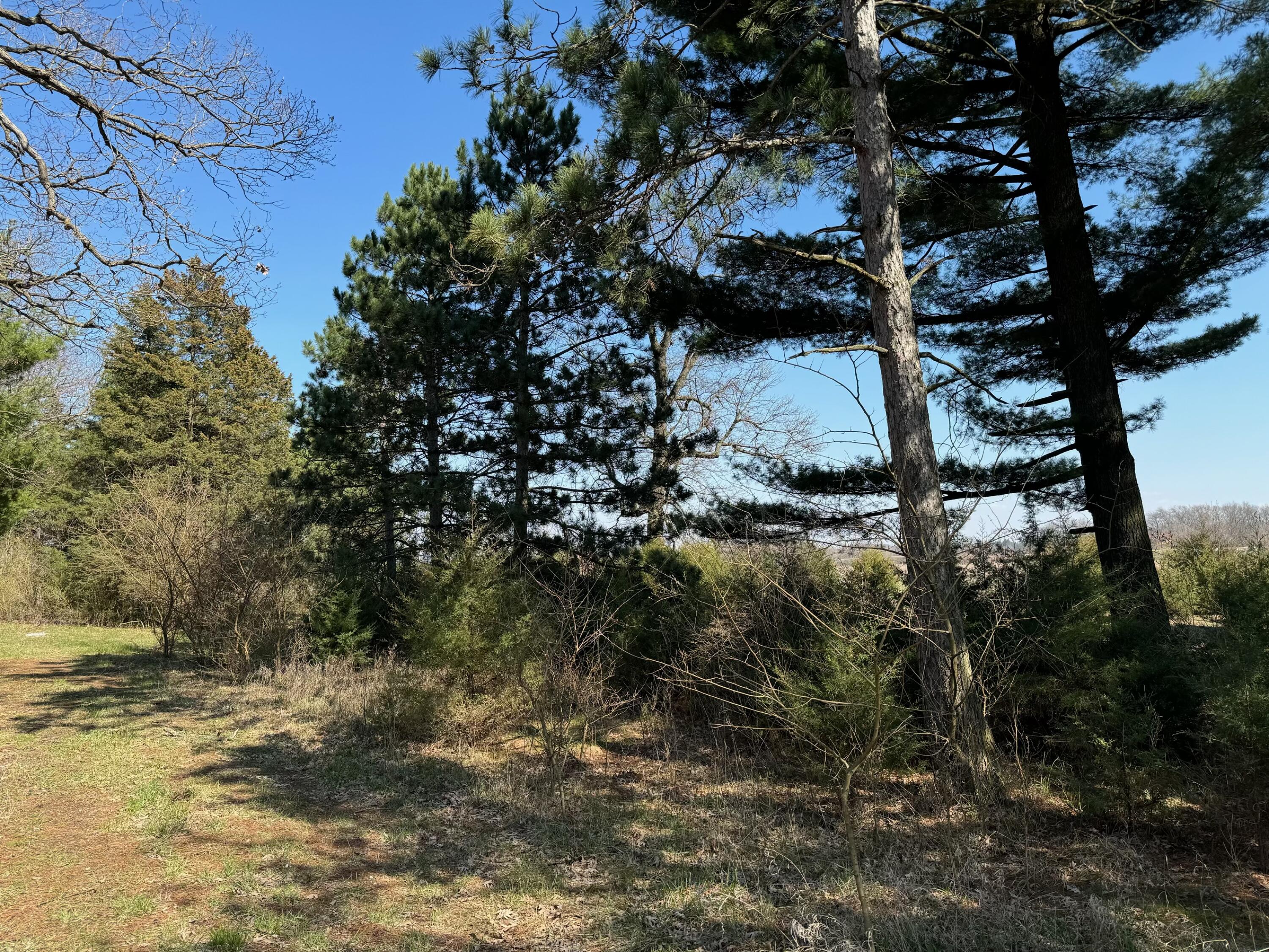 Lot 1 North 200th Street West Rensselaer, IN 47978 - Photo 7 of 11 3000x2250