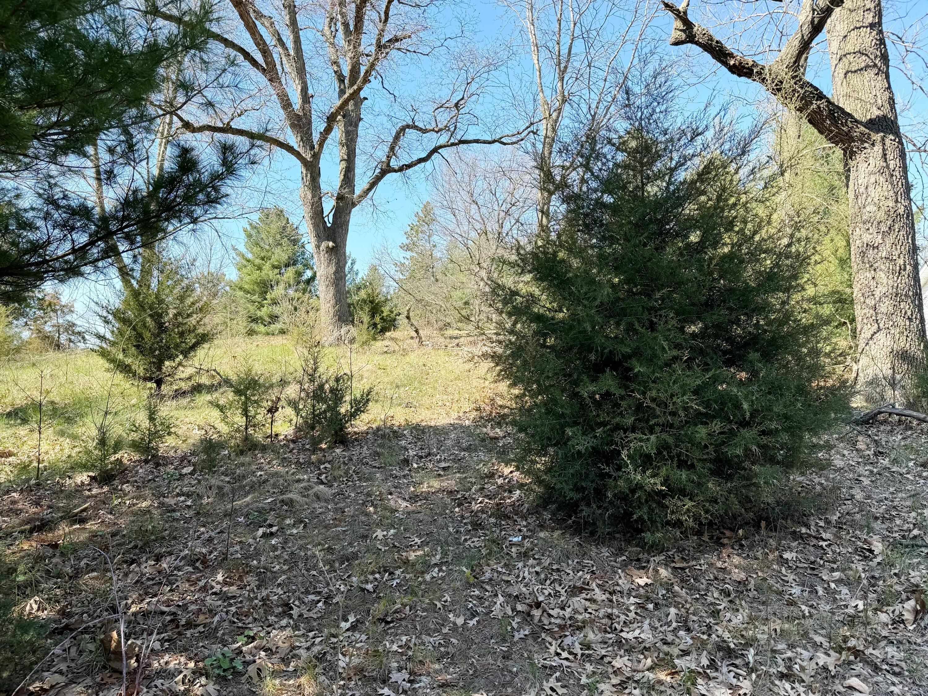 Lot 1 North 200th Street West Rensselaer, IN 47978 - Photo 8 of 11 3000x2250