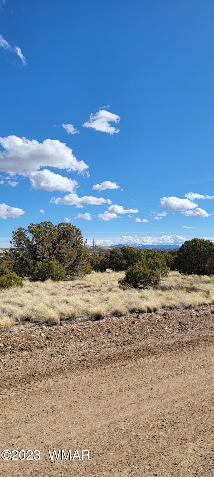 56 County Road Concho, AZ 85924 - Photo 7 of 7 20230312_150248