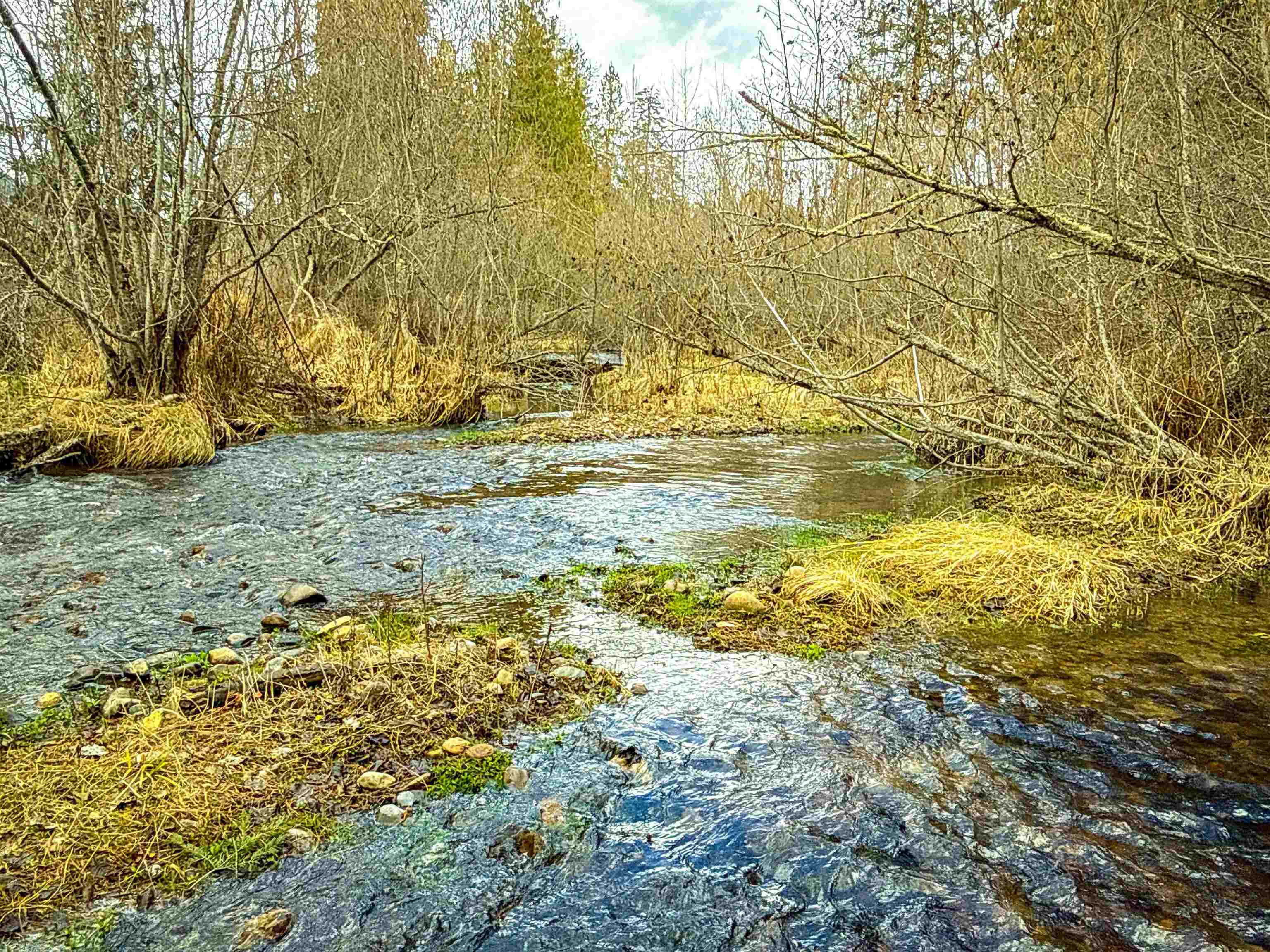 901 Skookum Creek Road Usk, WA 99180 - Photo 24 of 50