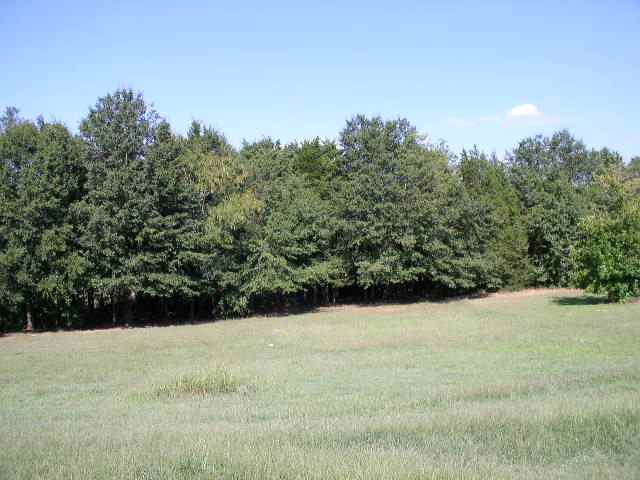 1012 Blumefield Road Anderson, SC 29625 - Photo 6 of 20 Gallery Image 6