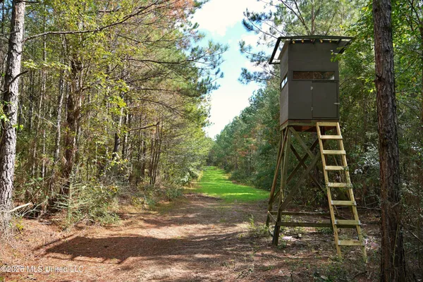 $540,000 | Southeast Pleasant Grove Road Southeast, Ruth, MS 39662